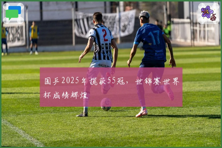 国乒2025年揽获55冠，世锦赛世界杯成绩辉煌